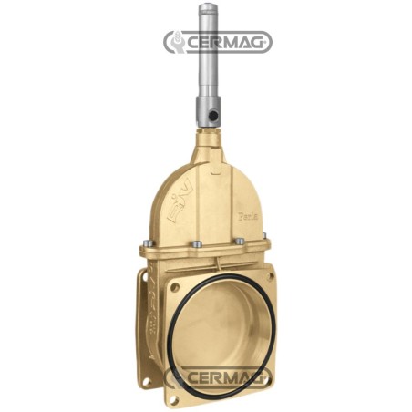 Saracinesca a stantuffo 2 flange con cilindro doppio effetto idraulico - RIV14 65018 Riv | NewgardenAgri.com