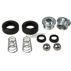 KIT DE REPARACIÓN 62976 | NewgardenAgri.com