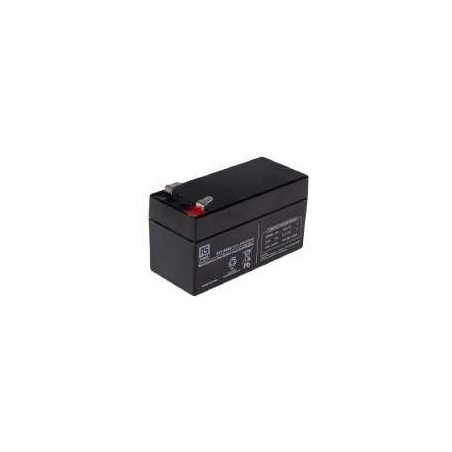 24V 24.6A Batteries (each) 6500031 ORIGINAL PERUZZO | NewgardenAgri.com