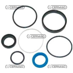 kit guarnizioni cilindro sterzo 1749581M91C | NewgardenAgri.com