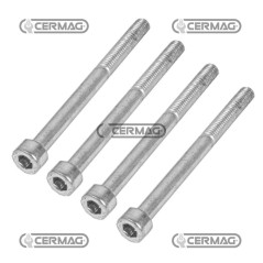 Satz mit 4 Befestigungsschrauben, Größe 5x60 mm, 84368 | NewgardenAgri.com