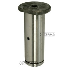 Perno cilindro sterzo Diametro 25 mm 5111572C | NewgardenAgri.com