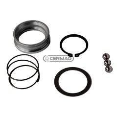 Kit de acoplamiento rápido 84336 | NewgardenAgri.com