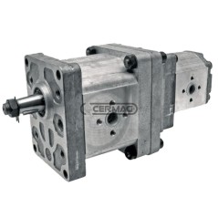 Doppelhydraulikpumpe für LANDINI und MASSEY FERGUSON 84395 | NewgardenAgri.com