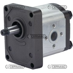 Bomba de engranajes GRUPO 2 Cónica 1:8 Cilindrada 12 cc Rotación izquierda 81615 Madeineurope | NewgardenAgri.com