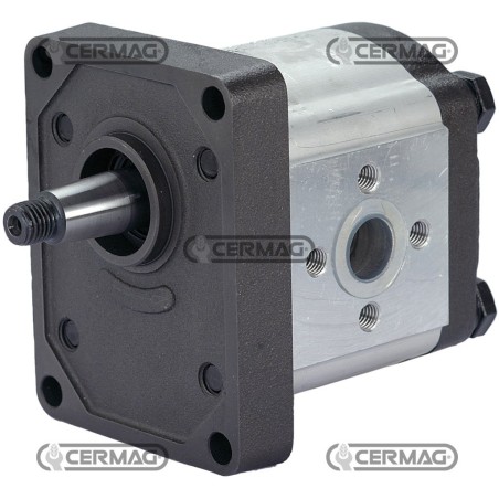 Bomba de engranajes GRUPO 2 Cónica 1:8 Cilindrada 16 cc Rotación izquierda 81619 Madeineurope | NewgardenAgri.com
