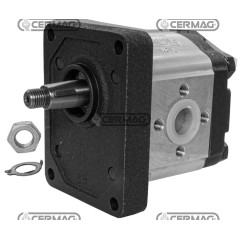 Bomba de engranajes GRUPO 2 Cónica 1:8 Cilindrada 11,2 cc Rotación derecha 95137 HighQuality_ORO | NewgardenAgri.com