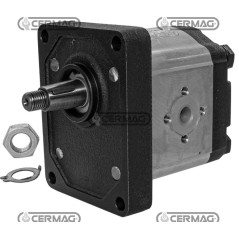 Bomba de engranajes GRUPO 2 Cónica 1:8 Cilindrada 11,2 cc Rotación izquierda 95138 HighQuality_GOLD | NewgardenAgri.com