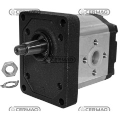 Bomba de engranajes GRUPO 2 Cónica 1:8 Cilindrada 16 cc Rotación derecha 95140 HighQuality_GOLD | NewgardenAgri.com