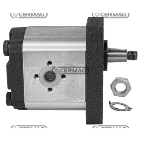 Pompa ad ingranaggi GRUPPO 2 Conicità 1:8 Cilindrata 19.2 cc Rotazione Destra 95142 HighQuality_ORO