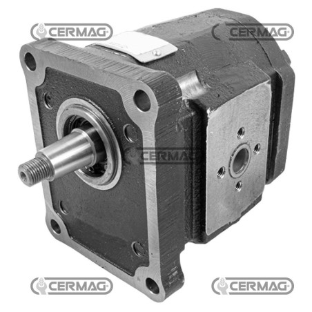 Bomba de engranajes estándar GRUPO 3 Cilindrada 51 cm³ Rotación derecha 84378 Fabricada en Italia | NewgardenAgri.com