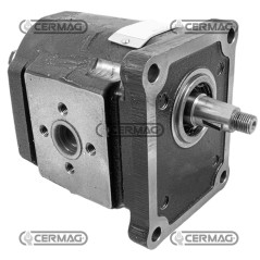 Pompa ad ingranaggi standard GRUPPO 3 Cilindrata 51 cm³ Rotazione Destra 84378 MadeinItaly