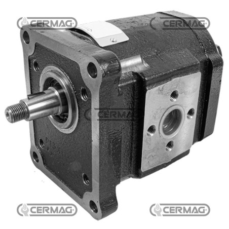 Bomba de engranajes estándar GRUPO 3 Cilindrada 61 cm³ Rotación derecha 84379 Fabricada en Italia | NewgardenAgri.com