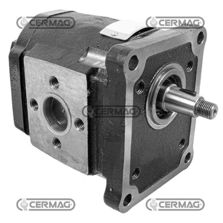 Bomba de engranajes estándar GRUPO 3 Cilindrada 61 cm³ Rotación derecha 84379 Fabricada en Italia