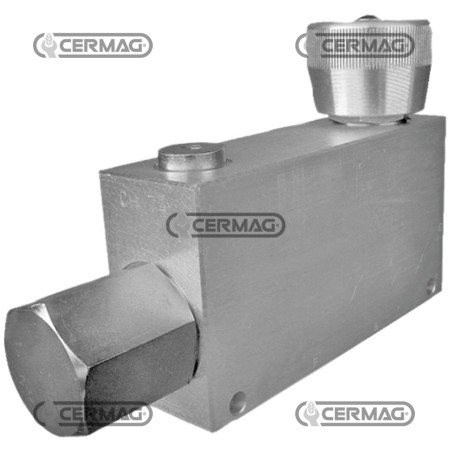 Vorrangventil mit einstellbarem Durchfluss und Überdruckschutz. 1/2"-Gasanschlüsse. 84415 Rexroth Bosch Gruppe. | NewgardenAg...
