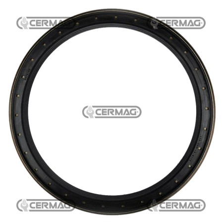 Spezieller Dichtungsring 170x200x17 Abmessungen 170x200x17 mm SLH215291240 | NewgardenAgri.com
