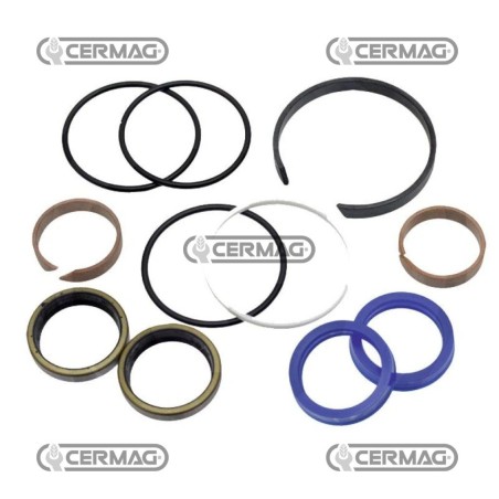 Kit revisione 3484624M92C | NewgardenAgri.com