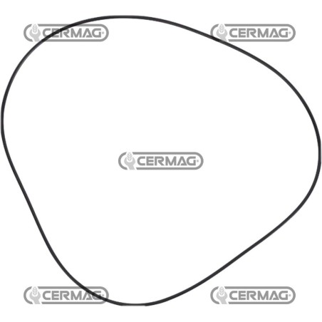O junta de freno 325 x 3,85 mm 3617901M2C | NewgardenAgri.com
