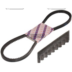 cinghia 13 x 1275 La 893575M1C | NewgardenAgri.com