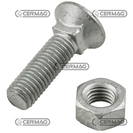 Bullone a testa svasata con quadro sottotesta Misura M12x60 57405 | NewgardenAgri.com