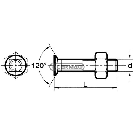 Bullone a testa ridotta e svasata con quadro sottotesta Misura M14x40 Sinistra 56295 | NewgardenAgri.com