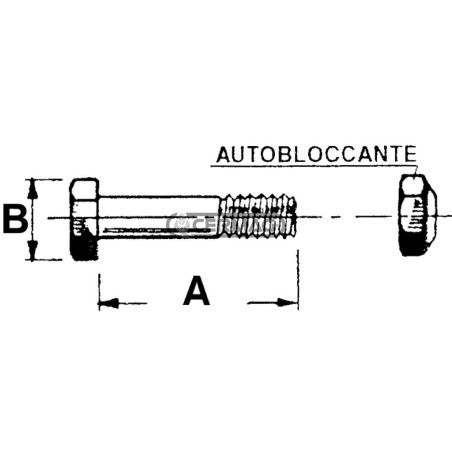 Bullone per trincia Misura M12x1.75x65 56593