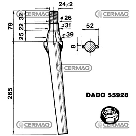 Dente per erpici rotativi - Conico 55160 | NewgardenAgri.com