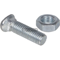 Pflugschare Befestigungsschraube Gewinde M10x38 55361 | NewgardenAgri.com