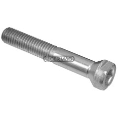 Vis conique pour lames (10x60) POUR BARRES DE COUPE GASPARDO FBR (DENTS AMOVIBLES) 45736 | NewgardenAgri.com