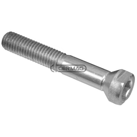 Vis conique pour lames (10x60) POUR BARRES DE COUPE GASPARDO FBR (DENTS AMOVIBLES) 45736 | NewgardenAgri.com