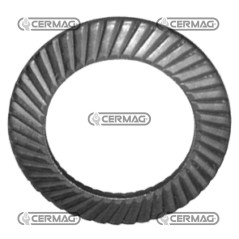 Rosetta elastica D.8 PER BARRE FALCIANTI GASPARDO FBR (DENTI SMONTABILI) 46033 | NewgardenAgri.com