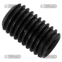 Grano es. inc M10x15 pun.piana PER MOTOFALCIATRICI SEP 45970 | NewgardenAgri.com