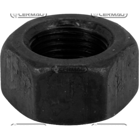 dado cerchio posteriore 18x1,5mm 12164211C | NewgardenAgri.com