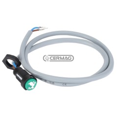 Interruttore per marce "veloci" 4291977M2C | NewgardenAgri.com