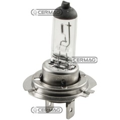 Bombilla de 1 luz, voltaje 12 V, potencia 55 W, casquillo PX26D E13 35895 HELLA | NewgardenAgri.com