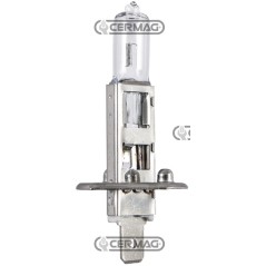 Bombilla de 1 luz, voltaje 12 V, potencia 55 W, casquillo PK14.5S E13 35907 HELLA | NewgardenAgri.com