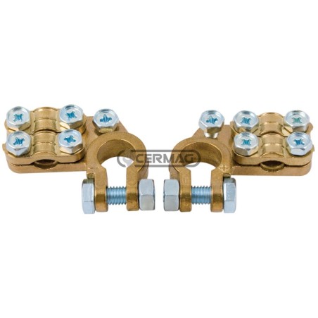 MORSETTI BATTERIA TIPO ALFA PESANTE CON DOPPIA PIASTRINA 36119 | NewgardenAgri.com