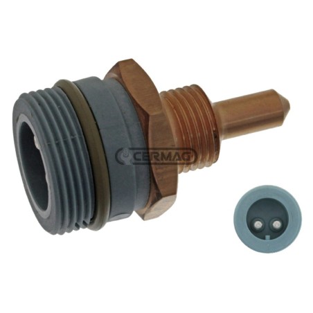 Sensore temperatura acqua F926202050020C | NewgardenAgri.com