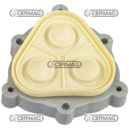 Kit de membrana para 28324 28417 | NewgardenAgri.com