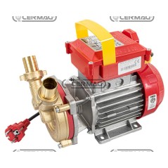 Bomba eléctrica autocebante para transferencia con asa. Potencia: 1 HP. Material: Bronce. 26021 | NewgardenAgri.com