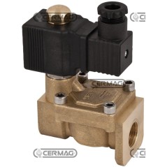 12V Zweiwege-Servo-Magnetventil 1/2" 27232 | NewgardenAgri.com
