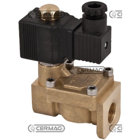 12V TWO-WAY SERVO-CONTROLLED SOLENOID VALVE 1/2" 27232 | NewgardenAgri.com
