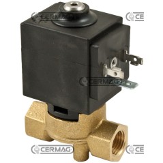 12V Zweiwege-Servo-Magnetventil 1/4" 27567 | NewgardenAgri.com