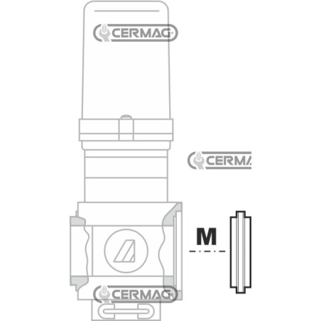Adaptateur M/M pour vannes séries 463/863 28202 ARAG | NewgardenAgri.com