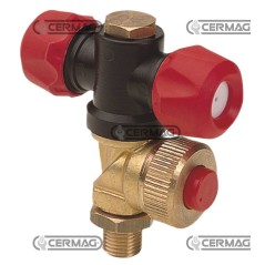 Verstellbare Doppeldüse für Verdampfer, Außengewinde – 1/4" Gas 25075 ARAG | NewgardenAgri.com