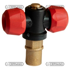 Getto doppio registrabile per atomizzatore Filettatura Interna - 1/4" Gas 25506 ARAG | NewgardenAgri.com