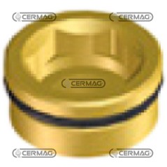 CAPUCHON POUR M200 G3/4 M (FILETAGE À GAUCHE) 27931 BRAGLIA | NewgardenAgri.com