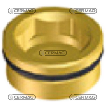 CAPUCHON POUR M200 G3/4 M (FILETAGE À GAUCHE) 27931 BRAGLIA | NewgardenAgri.com