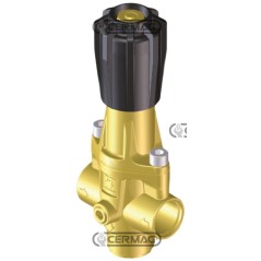 Regolatore M411 per gruppo comando 27972 BRAGLIA | NewgardenAgri.com