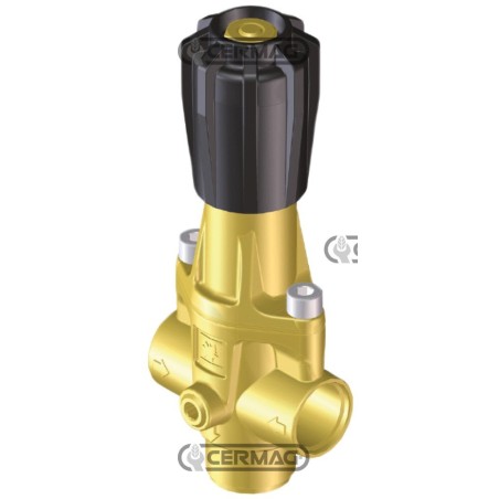Regolatore M411 per gruppo comando 27972 BRAGLIA | NewgardenAgri.com